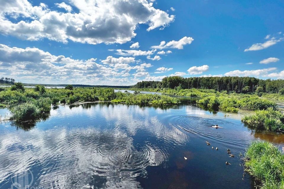 земля г Мытищи СНТ Водоканал, Мытищи городской округ фото 7