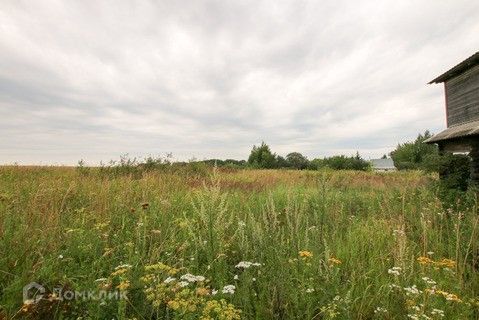 земля городской округ Кашира д. Понизье фото 6