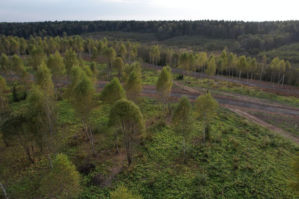 земля городской округ Солнечногорск д. Козино фото 5