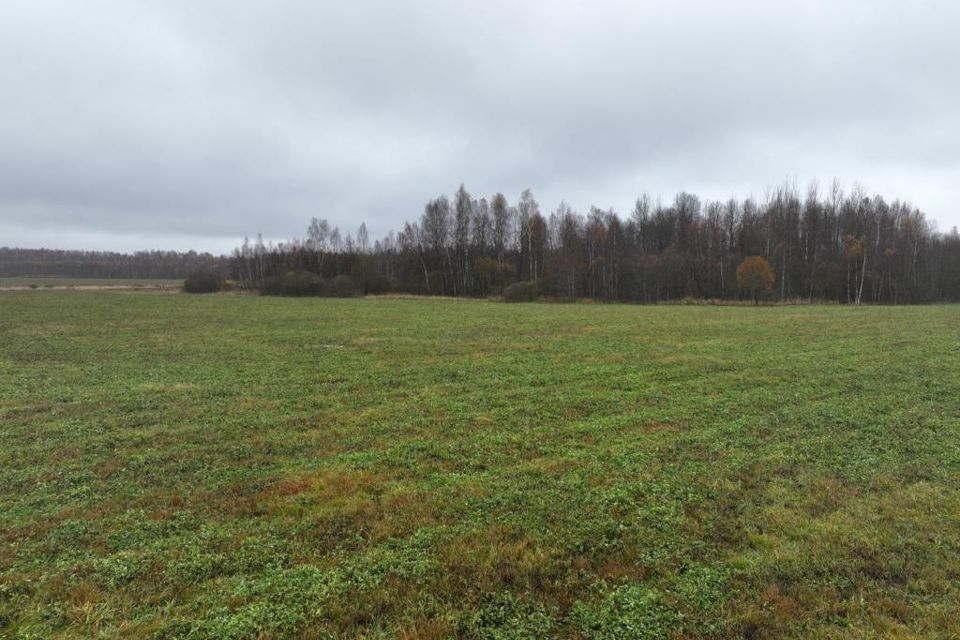 земля городской округ Можайский фото 5