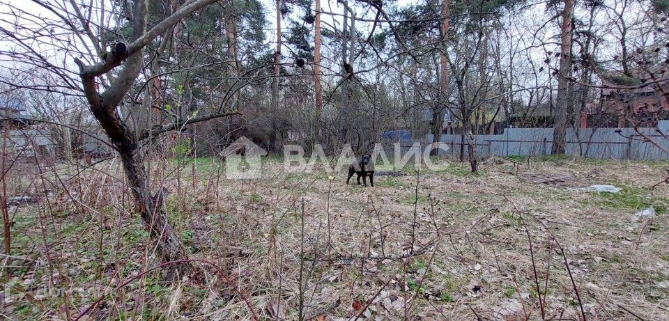 земля г Пушкино Пушкинский городской округ, Боткинская улица, 25 фото 8