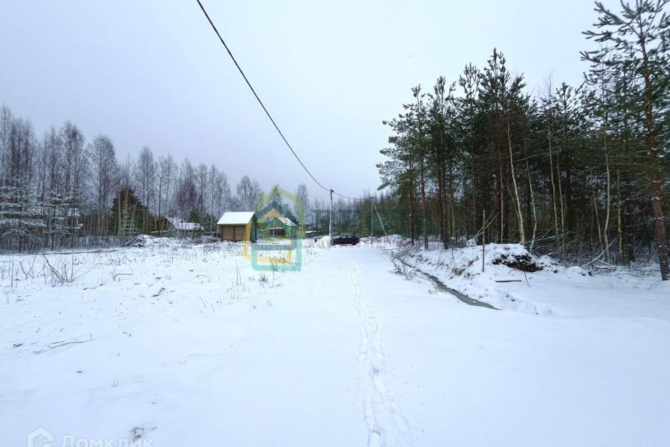 земля р-н Всеволожский фото 6