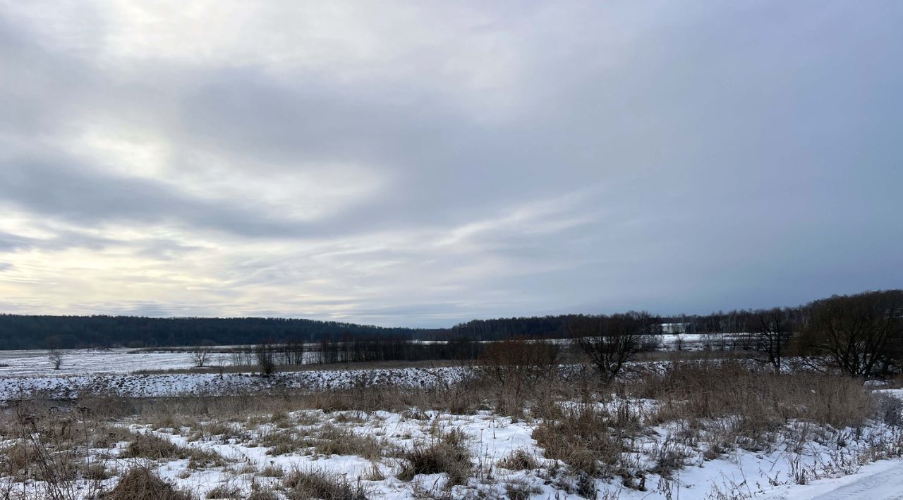 земля городской округ Раменский с Зеленая Слобода ул Зеленая Удельная фото 2