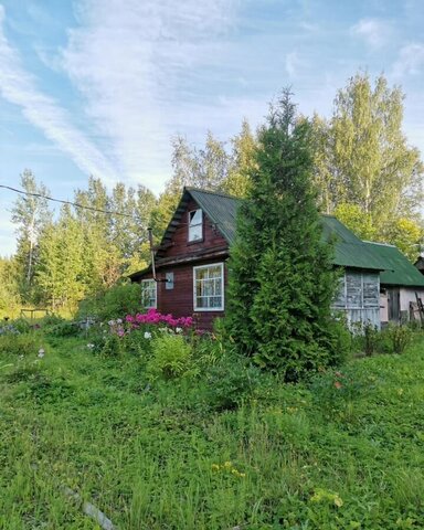 массив Посадников Остров снт Кембрий Московское шоссе, 84 км, Кусинское сельское поселение, 32-я линия, Кириши фото