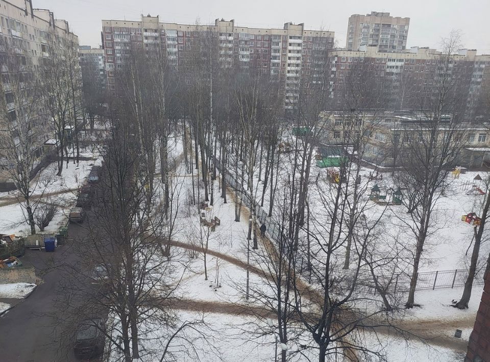 квартира г Санкт-Петербург метро Проспект Просвещения ул Сантьяго-де-Куба 10к/1 фото 7