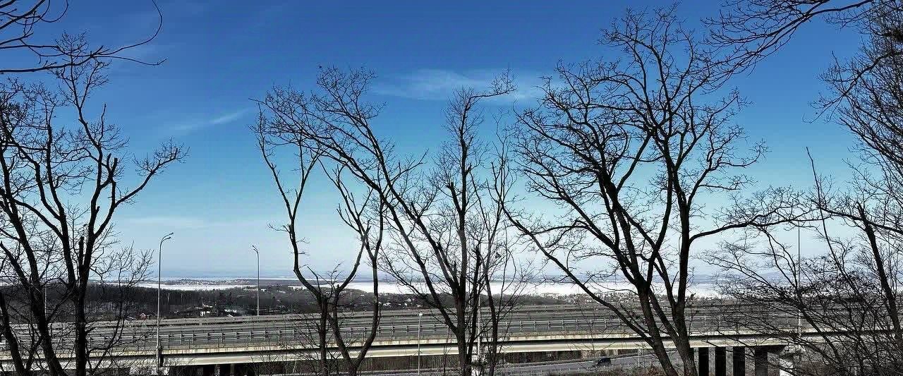 земля г Владивосток р-н Советский ул Вознесенская фото 2