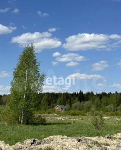 пер Комсомольский Дорога жизни, 10 км, Всеволожское городское поселение фото