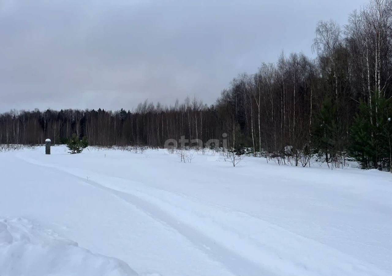 земля направление Киевское (юго-запад) ш Киевское 20 км, Москва, поселение Первомайское, Троицк, Троицкий административный округ фото 5