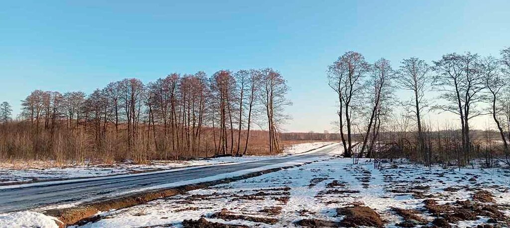 земля городской округ Раменский коттеджный посёлок Оттепель фото 3