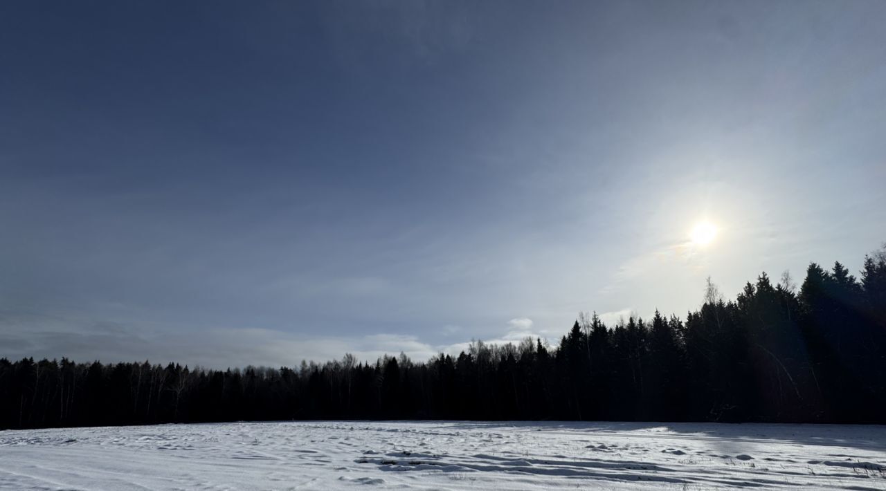 земля городской округ Пушкинский Лиса кп фото 6