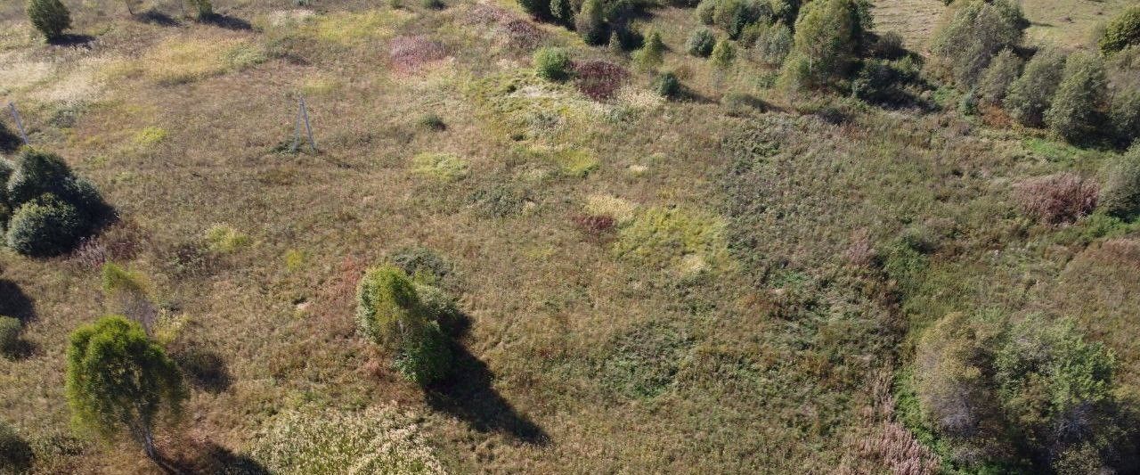 земля городской округ Волоколамский д Чернево фото 2