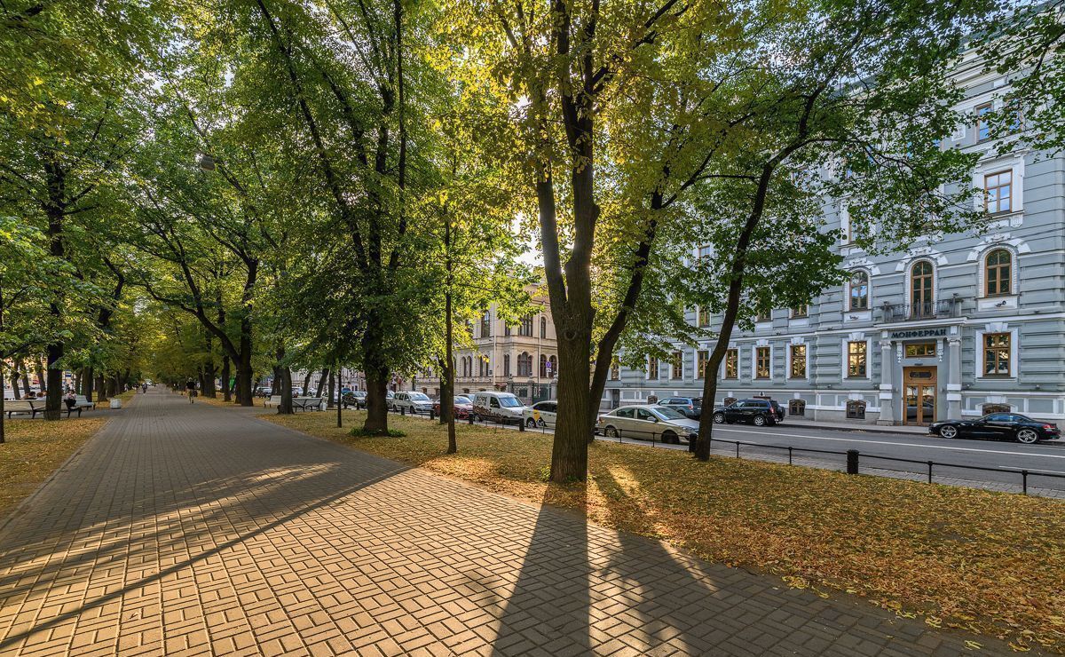 квартира г Санкт-Петербург метро Адмиралтейская р-н Адмиралтейский б-р Конногвардейский 5 дом «Монферран» фото 7