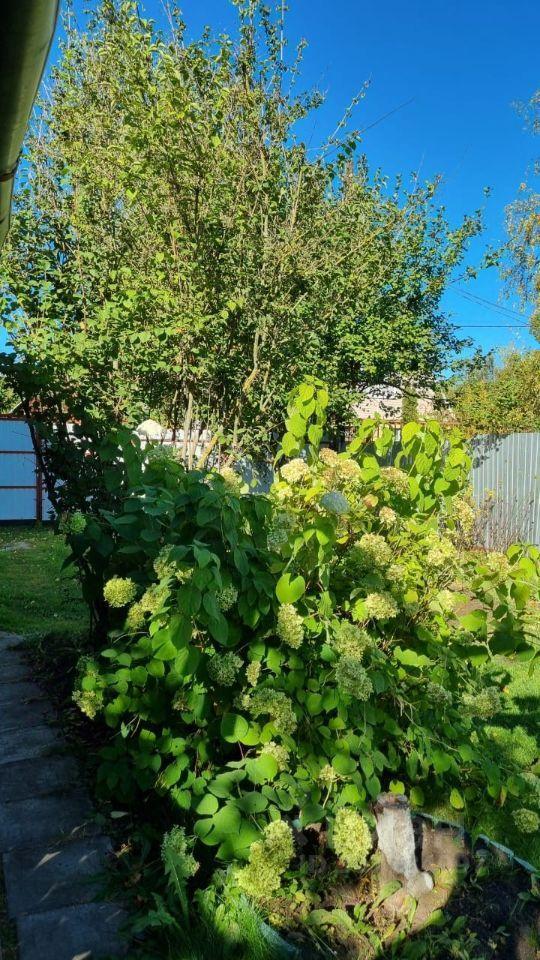 дом городской округ Богородский г Ногинск снт тер.Ирригатор 24, Воровского фото 21