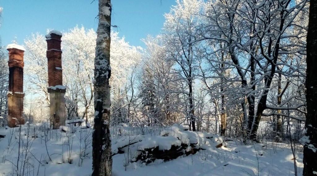 офис г Красное Село ш Гатчинское 56д метро Проспект Ветеранов фото 3