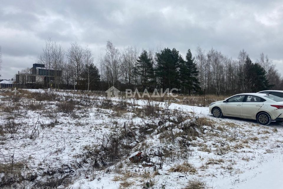 земля городской округ Раменский Лисицыны лужки фото 3