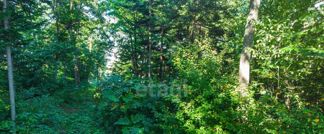 земля г Владивосток р-н Советский ул Сахарный Ключ фото 24