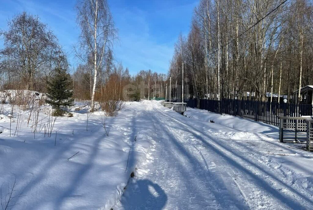 земля р-н Ломоносовский д Таменгонт ул Кольцевая Пениковское сельское поселение фото 13