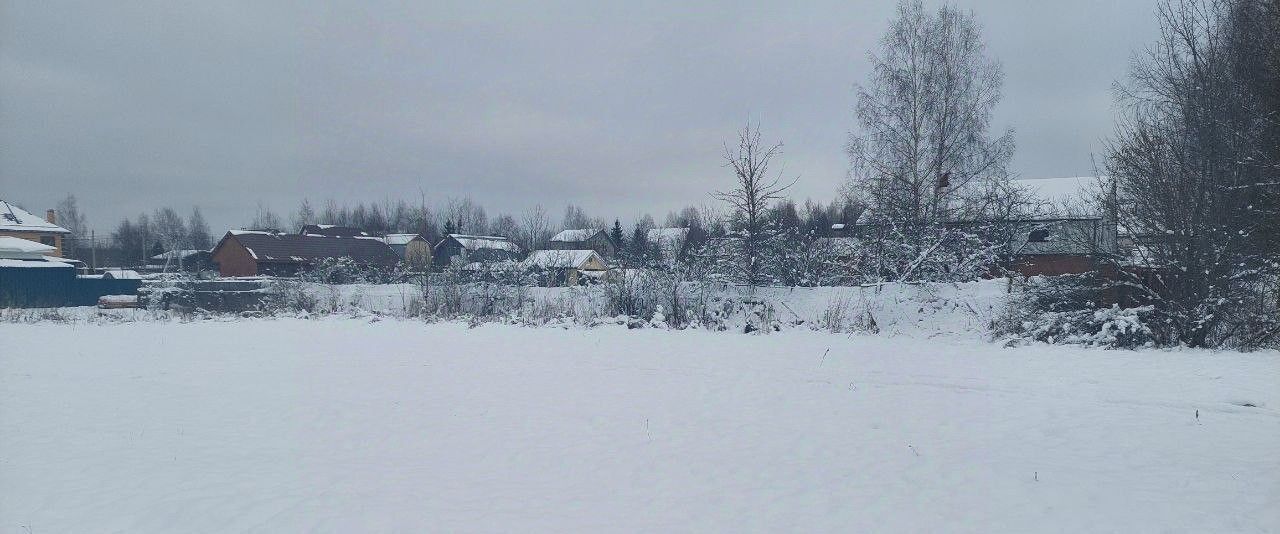 земля городской округ Солнечногорск д Дулепово 2А фото 2