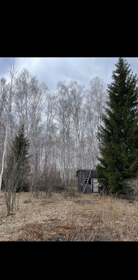 земля р-н Кетовский д Лукино снт Раздолье-4 Яблоневая ул, Курган фото 1