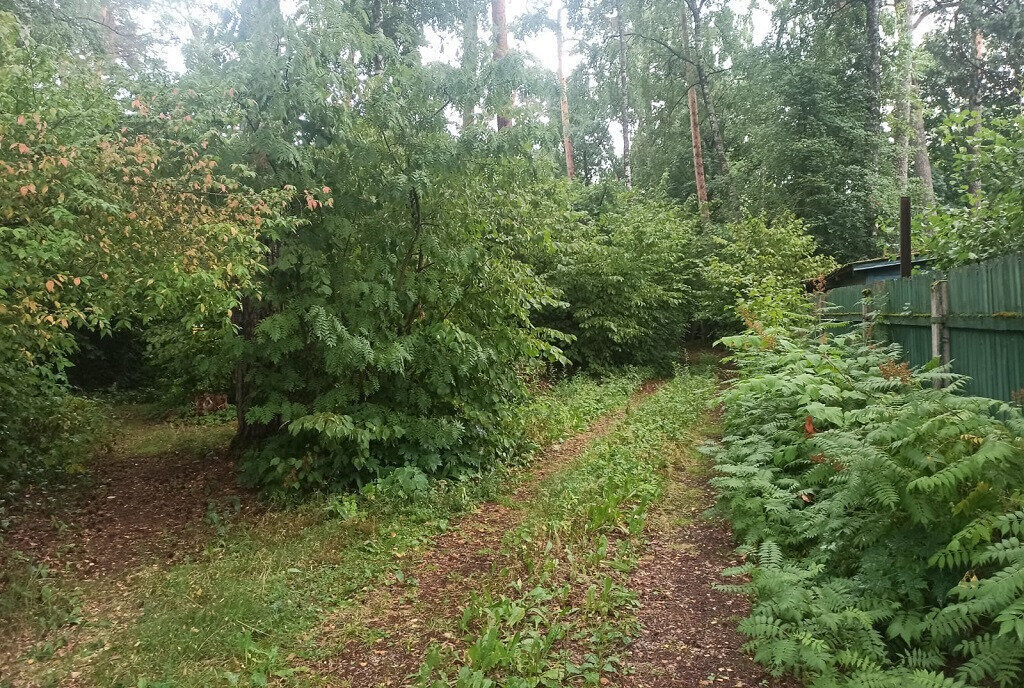 земля городской округ Одинцовский д Барвиха Сетунь, ДПК Новь, 2-я линия фото 4