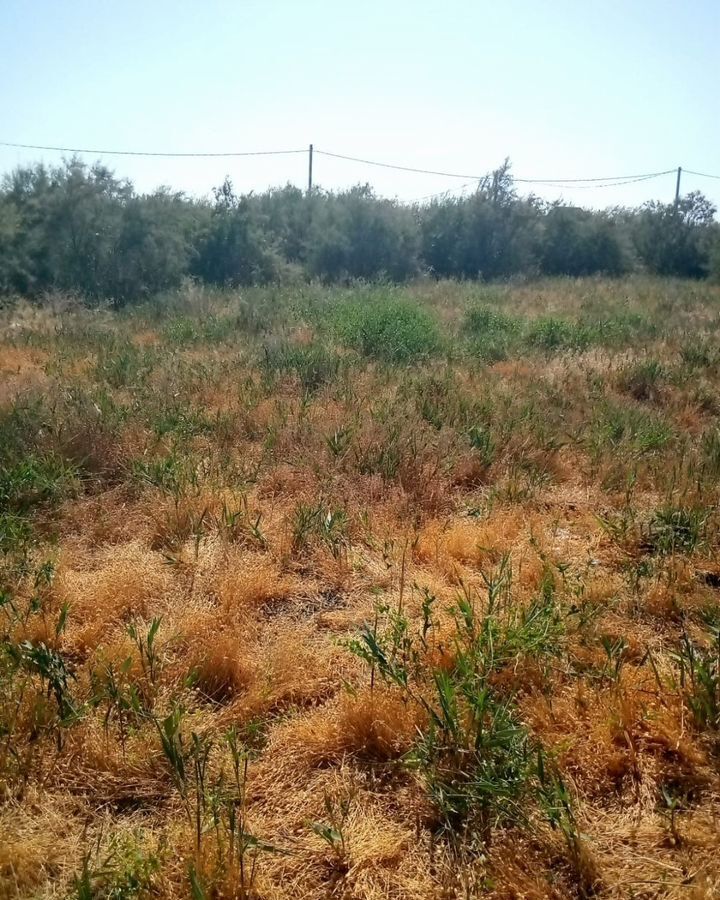 земля р-н Приволжский с Началово ул Космонавтов 3 фото 1