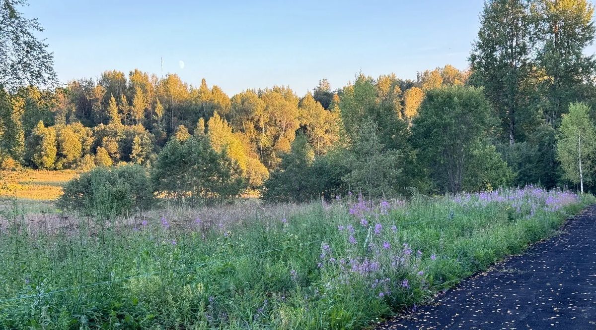 земля городской округ Дмитровский Форест Клаб кп фото 11