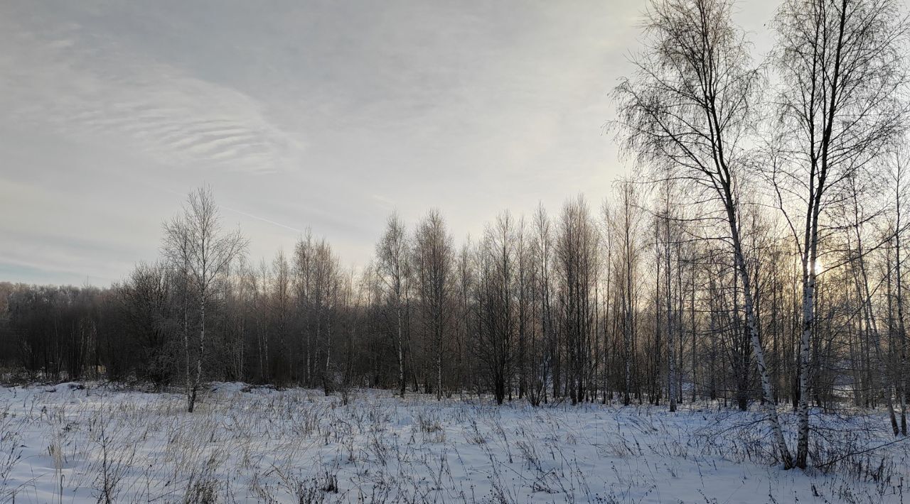 офис городской округ Чехов д Алачково снт Московский Ветеран СНТ, ул. Цветочная фото 2