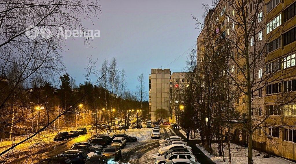 квартира р-н Всеволожский г Сертолово Парнас, Центральная ул., 4к 2 фото 22