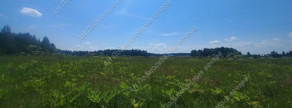 офис городской округ Можайский д Андреевское фото 10