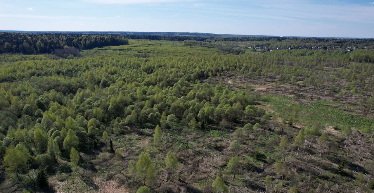 земля городской округ Клин п Чайковского 61 км, Клин, Ленинградское шоссе фото 8