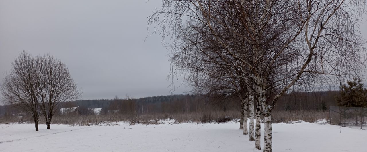 дом городской округ Сергиево-Посадский д Васьково фото 32