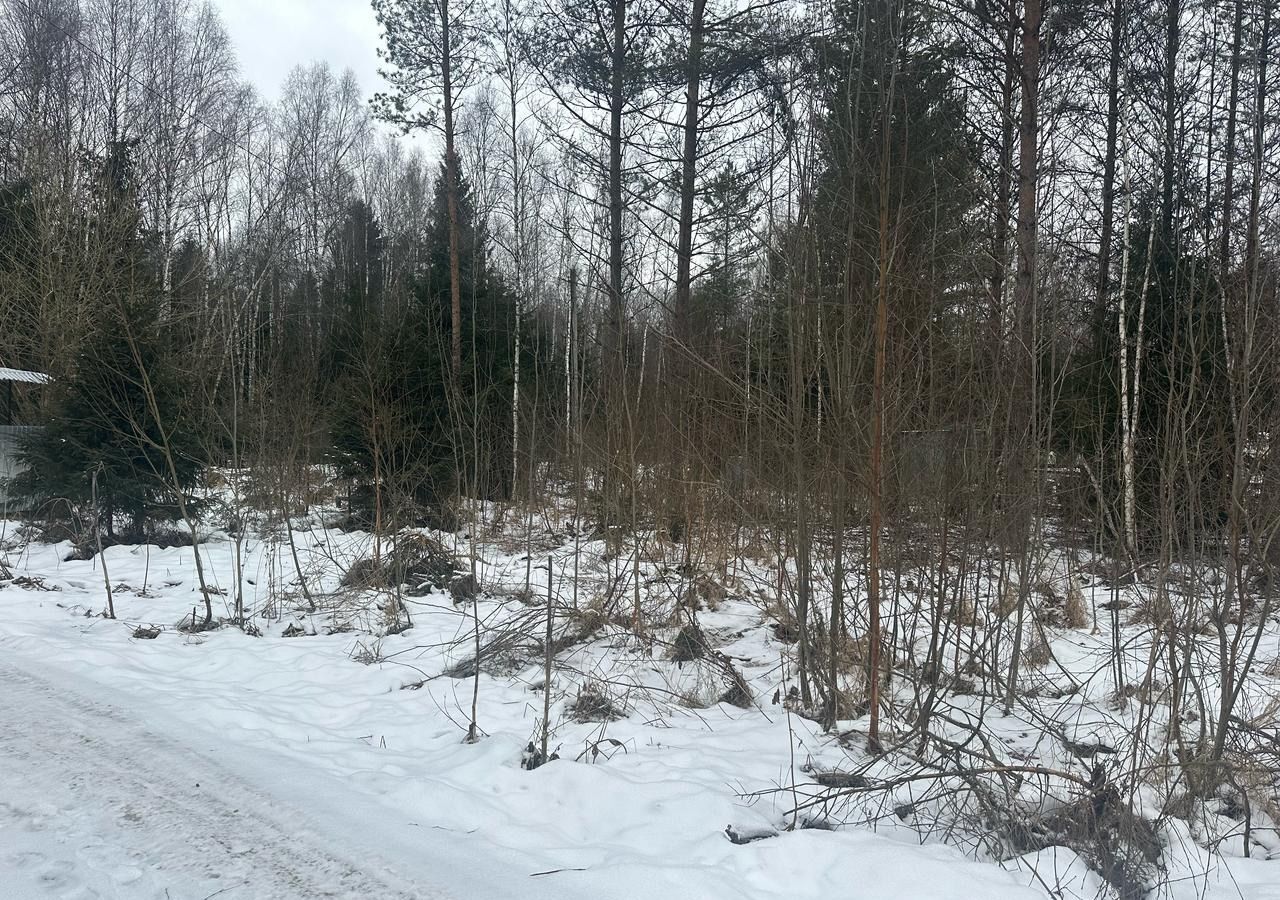 земля городской округ Наро-Фоминский г Верея 91 км, садовое товарищество Омхово, 2-я ул, Минское шоссе фото 3