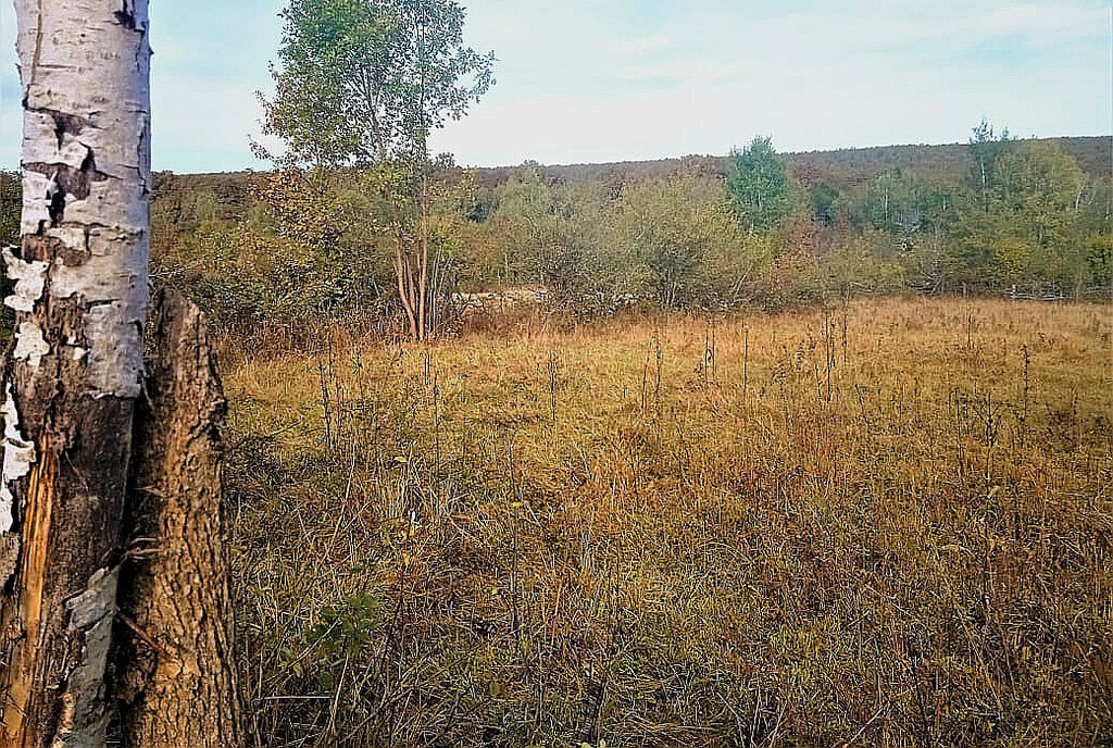 земля р-н Апшеронский х Спасов ул Хадыженское шоссе 1а фото 3