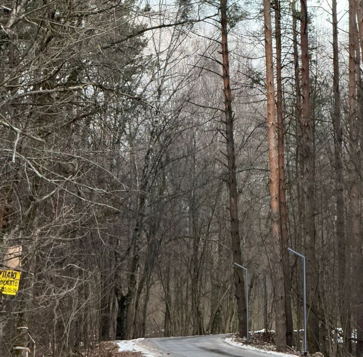 дом городской округ Подольск Бородино, 17, городской округ Подольск фото 8