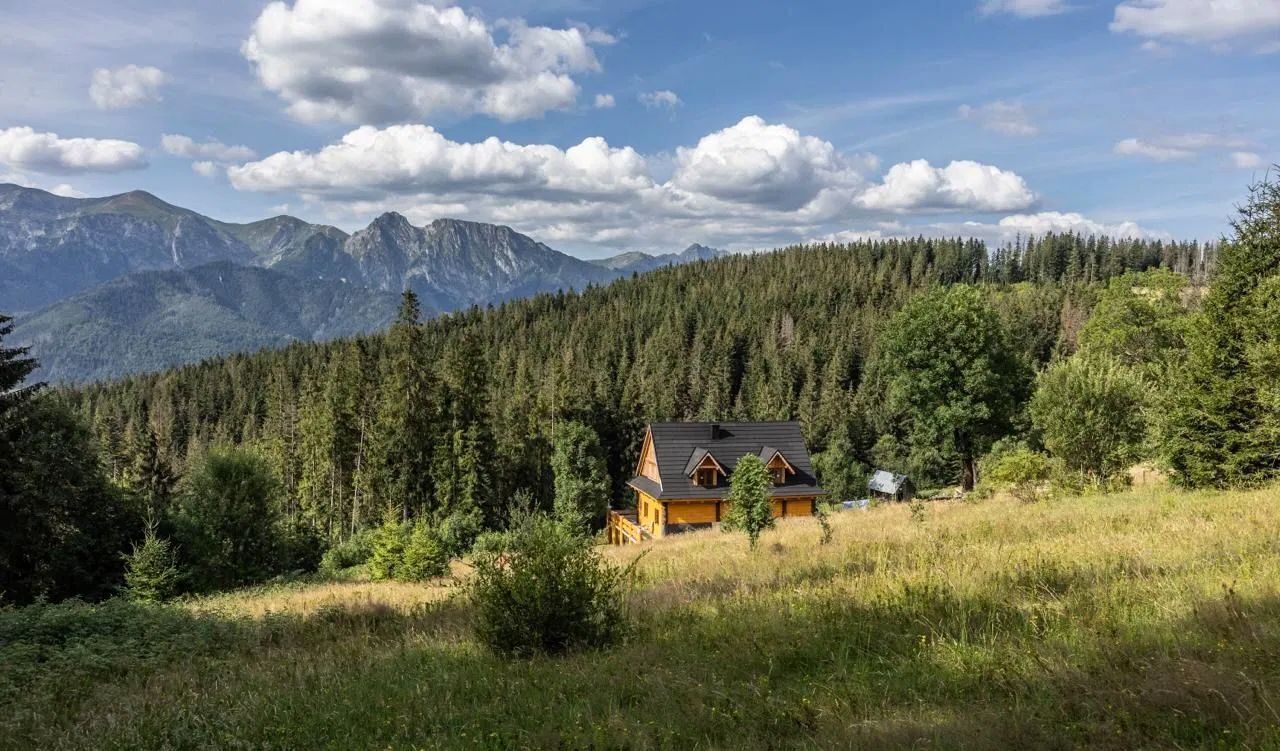 земля г Сочи р-н Адлерский пгт Красная Поляна ул. Турчинского фото 2