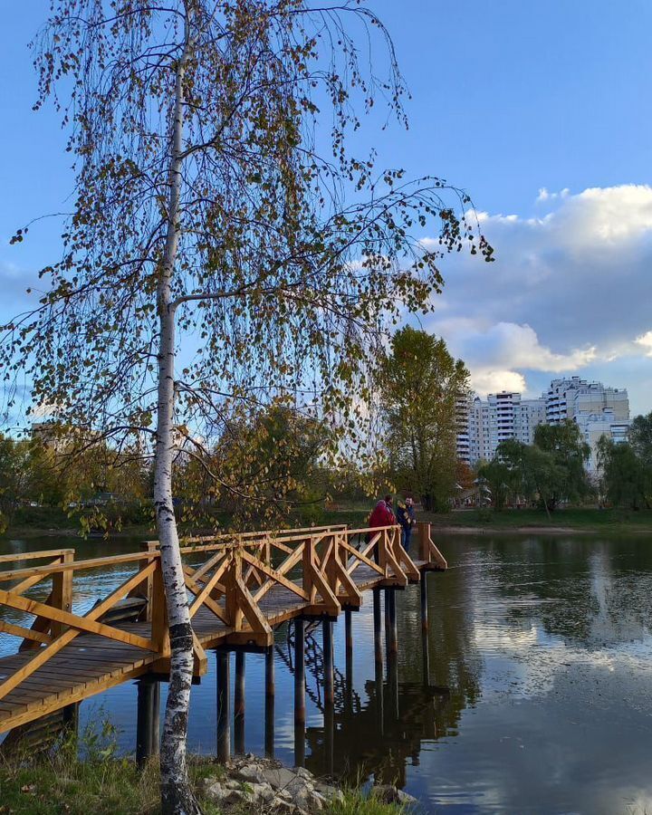 комната г Москва метро Щелковская ул Уссурийская 1к/4 фото 10