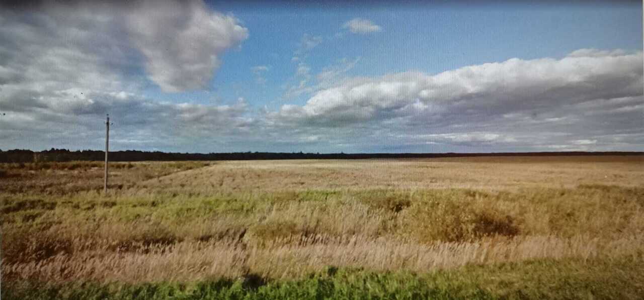 земля городской округ Шаховская д Лукошкино фото 3