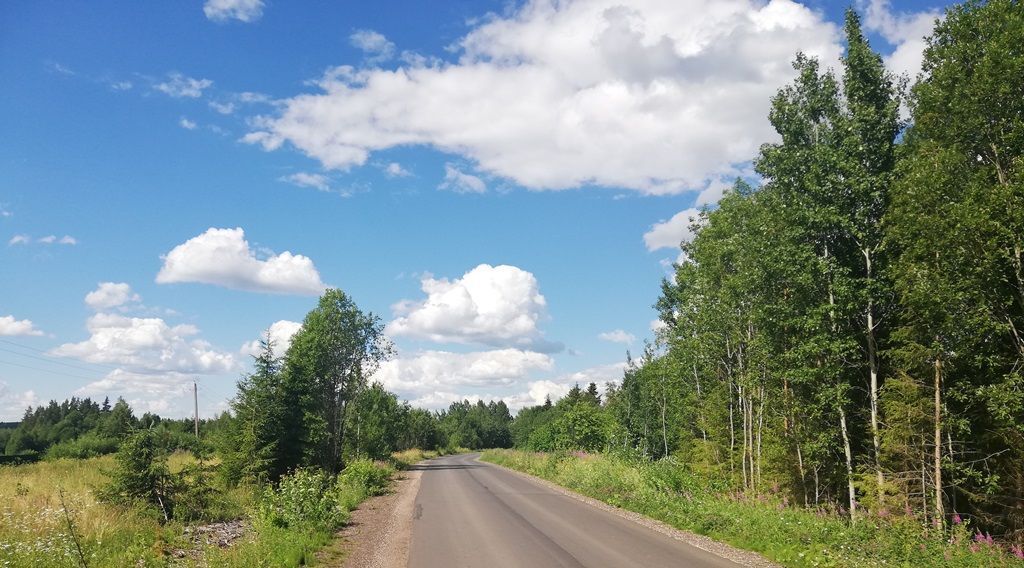 дом р-н Окуловский ж/д_ст Торбино ул Некрасова Боровенковское с/пос фото 31