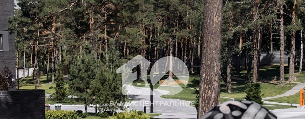 квартира г Новосибирск Заельцовская ш Дачное 20б фото 22