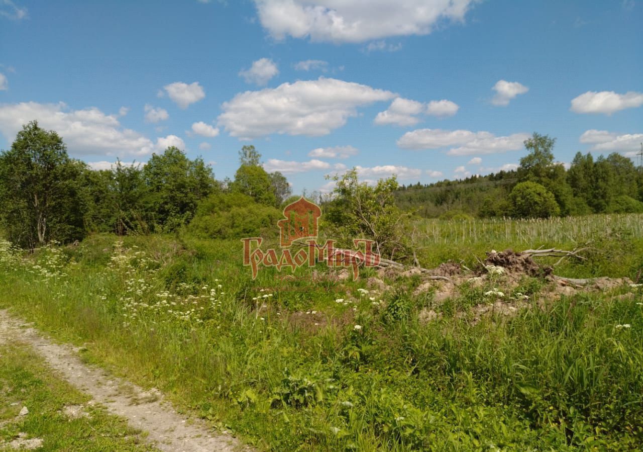 земля городской округ Сергиево-Посадский г Краснозаводск 66 км, д. Яковлево, Ярославское шоссе фото 4