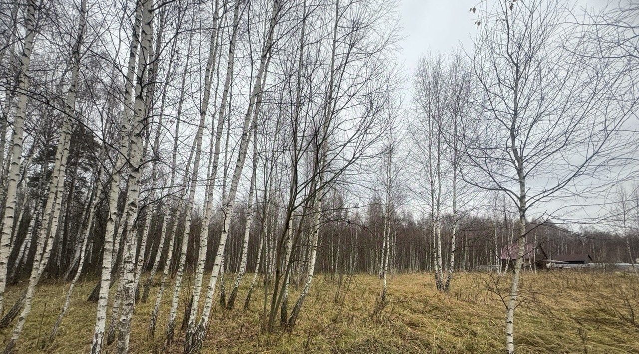 земля городской округ Серпухов п Оболенск фото 1