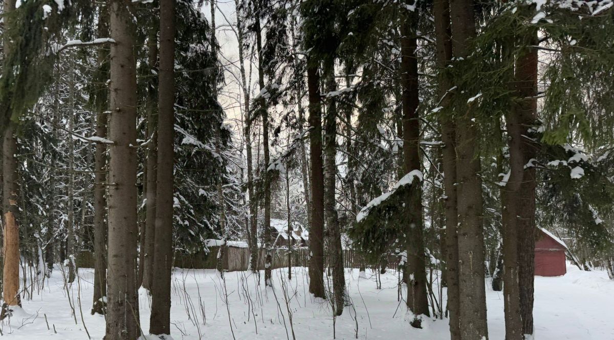 земля городской округ Солнечногорск дп Поварово ул Рабочая 10 Зеленоград — Крюково фото 1