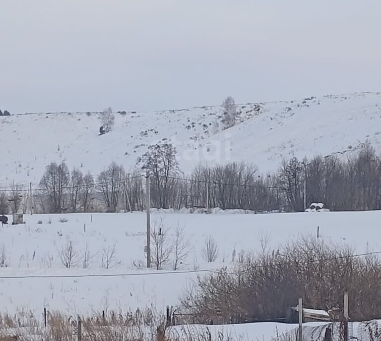 земля р-н Тукаевский д Малая Шильна ул Татарстан фото 4