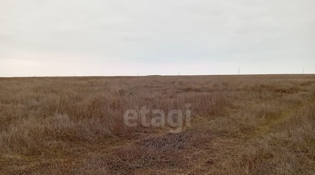 земля р-н Сакский с Суворовское фото 1