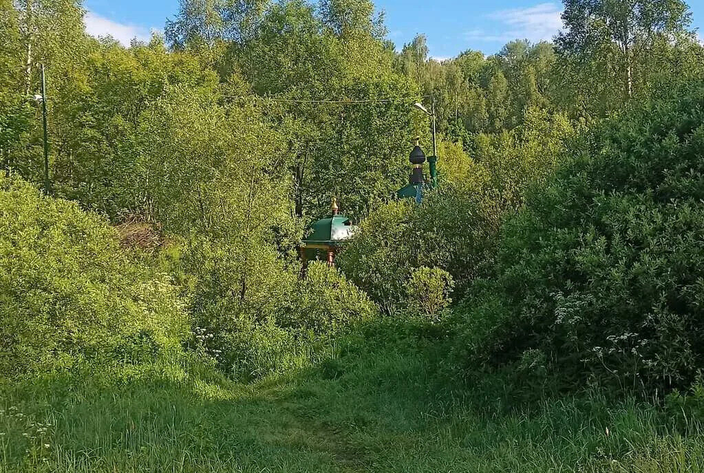 дом городской округ Чехов д Алексеевка ул Березовая фото 23