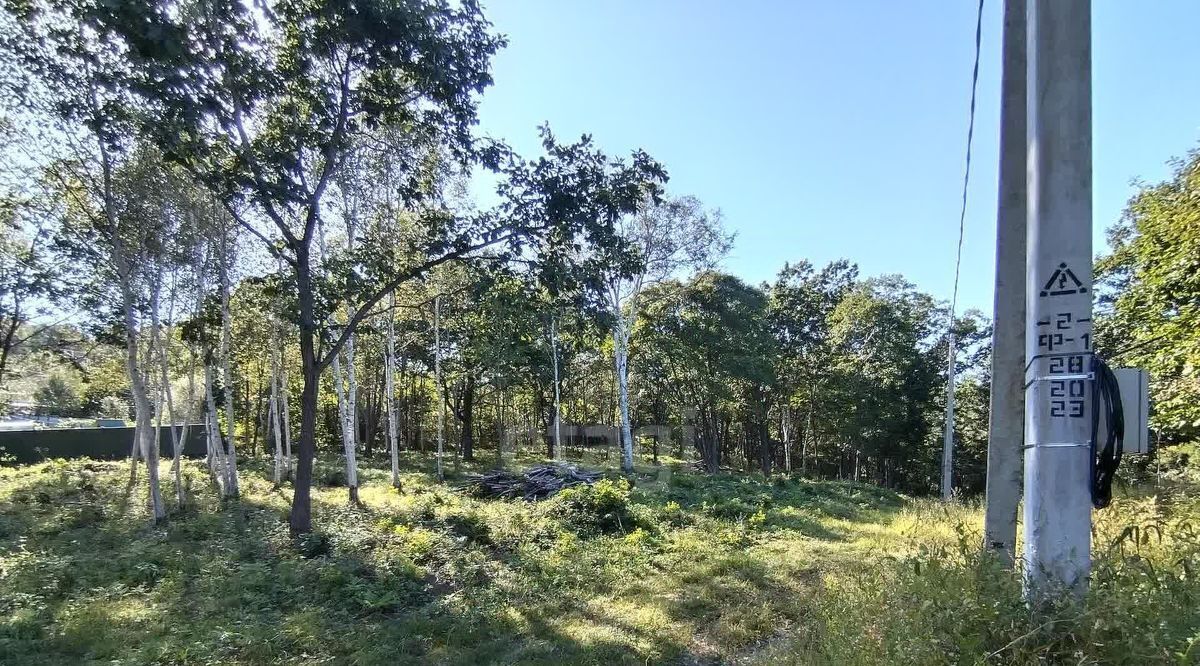 земля р-н Надеждинский Кварц СТ, ул. Алмазная, 4 фото 1