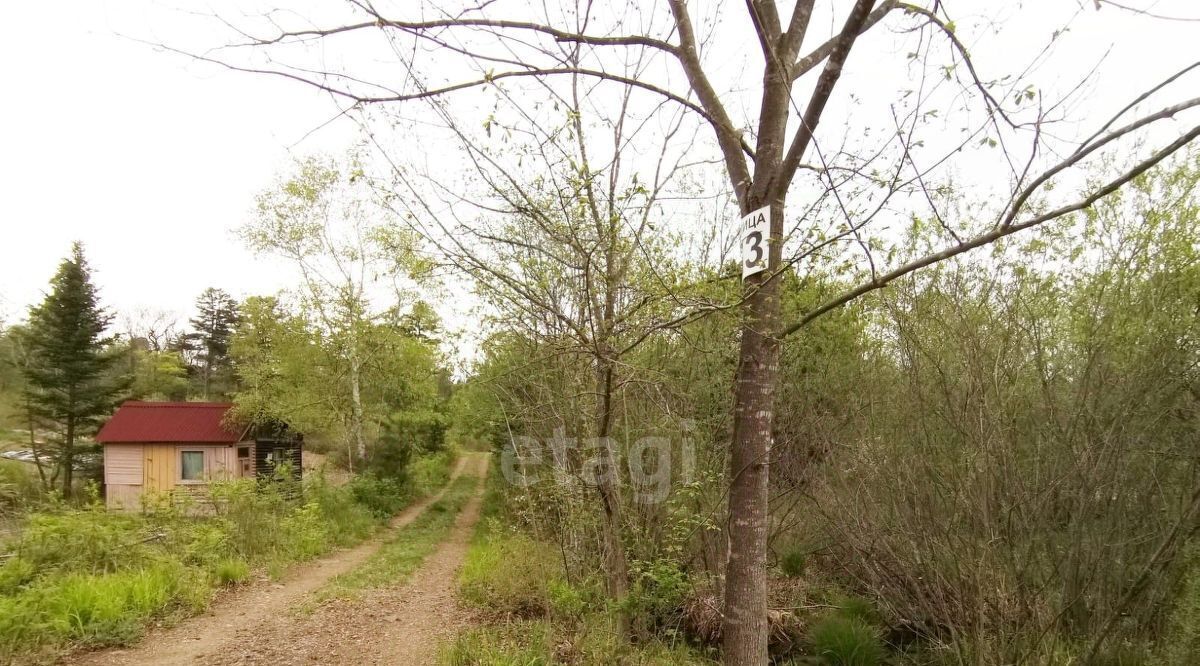 земля р-н Надеждинский Голубая Нива СДТ фото 4