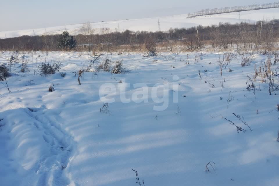 земля Белокуриха городской округ, Белокуриха фото 4