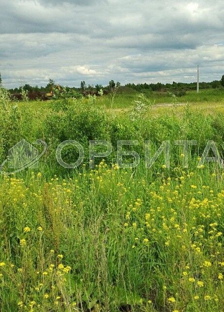 земля г Тюмень пл Центральная Тюмень городской округ фото 2