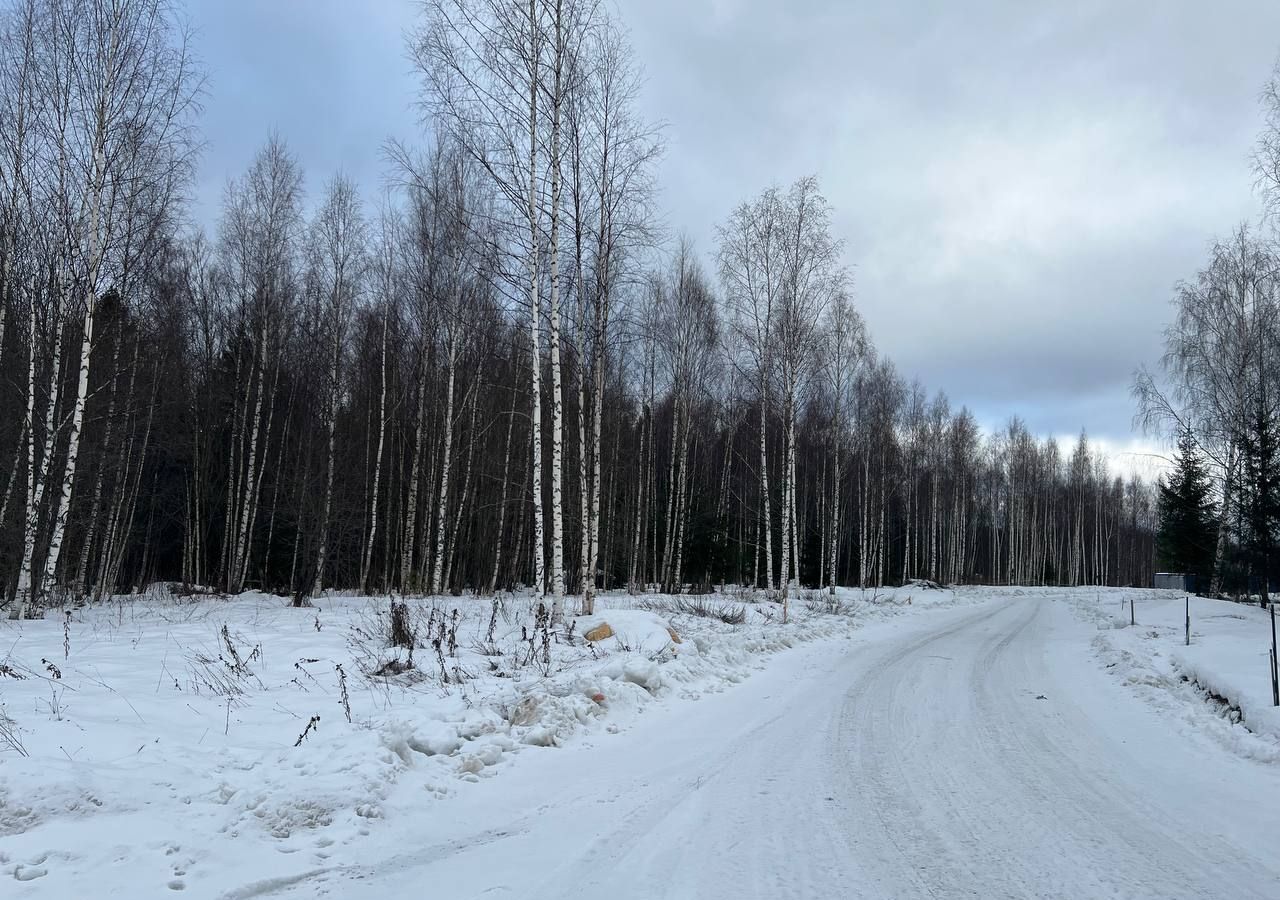 земля городской округ Сергиево-Посадский г Краснозаводск 70 км, коттеджный пос. Яркое, 33, Ярославское шоссе фото 9